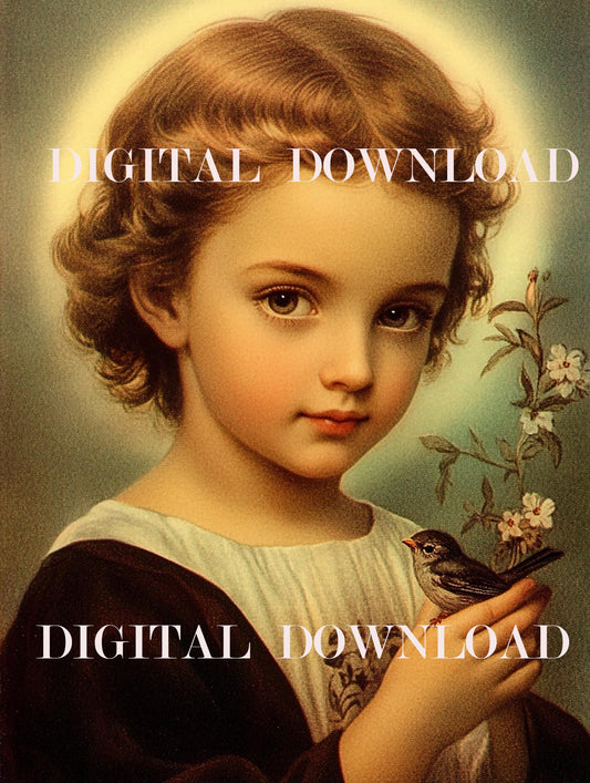 Child Jesus with Bird Religious Art Digital Image image 0